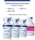 Foundational Peptide Bundle